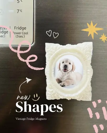 Oval Fridge Magnet -2 
